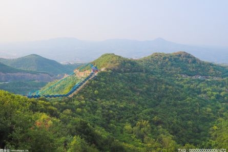 天津市全面建成四级林长组织体系 各级林长共7500余名