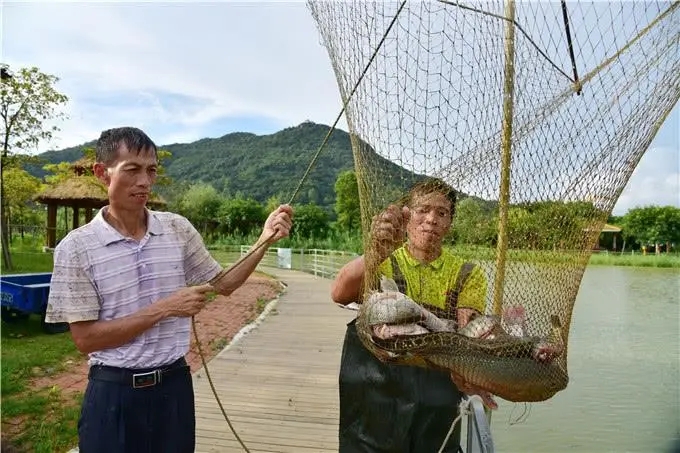 新春走基层·巡江记   这位打了30多年鱼的老渔民 因巡护江豚有功获得国际奖